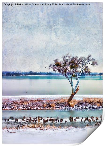 Duck Dynasty Print by Betty LaRue