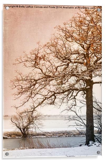 The Beauty of Winter Acrylic by Betty LaRue