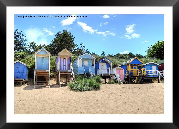 Beach Huts Framed Mounted Print by Diana Mower