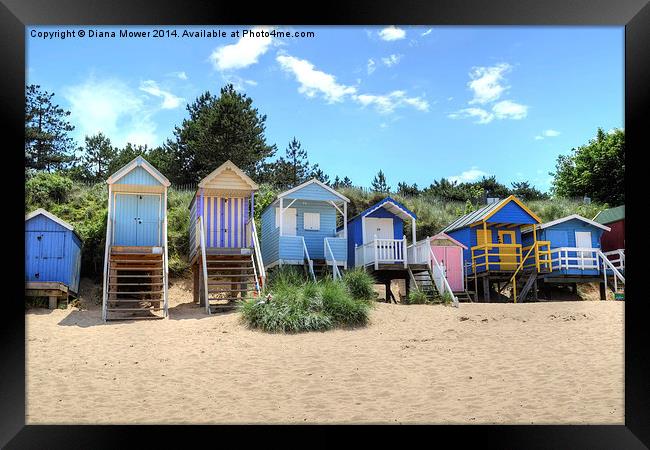 Beach Huts Framed Print by Diana Mower