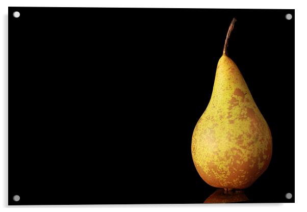 Monopear on Black Acrylic by Karen Oliver