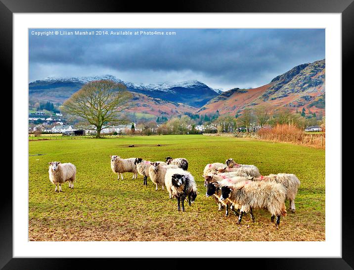Outside of Coniston Village. Framed Mounted Print by Lilian Marshall