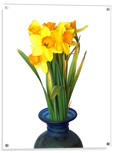 Daffodils Acrylic by Victor Burnside