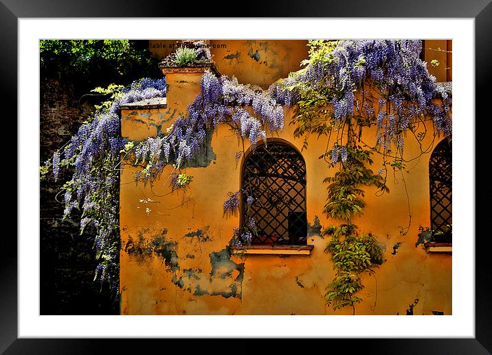 House in Granada Framed Mounted Print by Ian Lewis