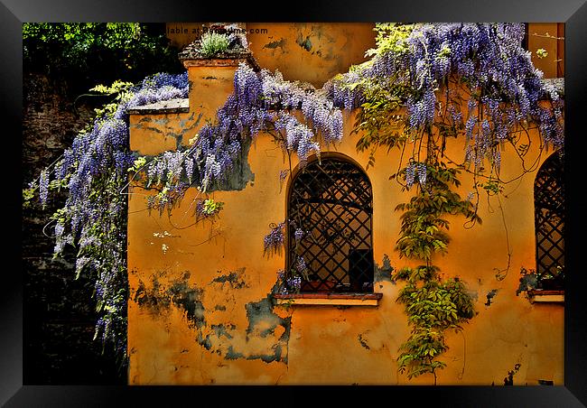House in Granada Framed Print by Ian Lewis