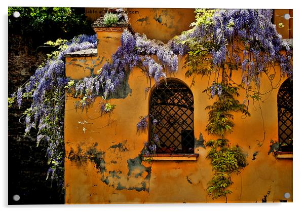 House in Granada Acrylic by Ian Lewis