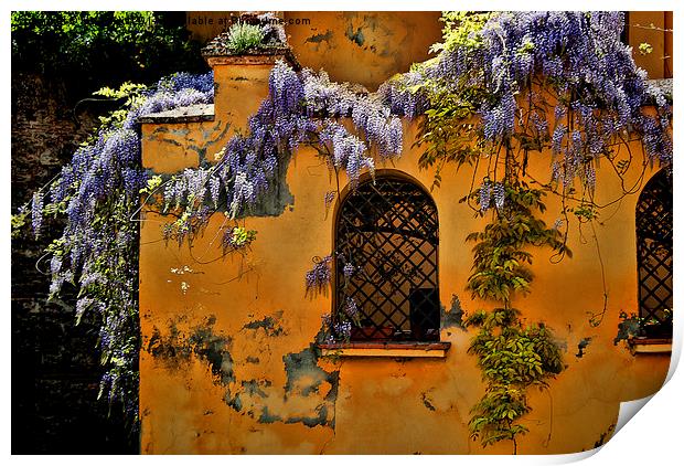 House in Granada Print by Ian Lewis