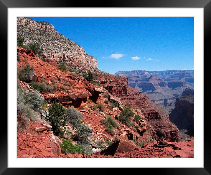Grand Canyon Arizona Landscape Framed Mounted Print by Tammy Winand