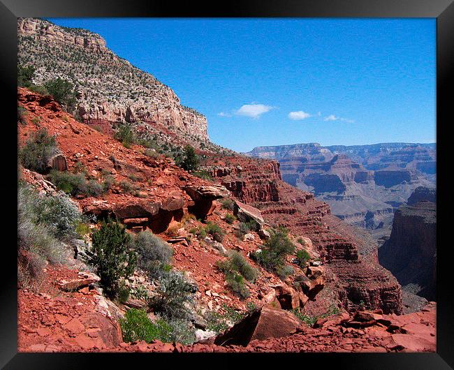 Grand Canyon Arizona Landscape Framed Print by Tammy Winand