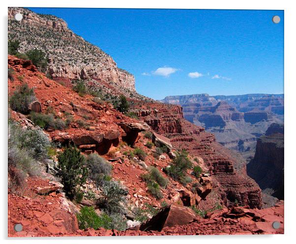 Grand Canyon Arizona Landscape Acrylic by Tammy Winand
