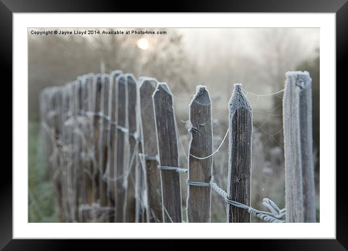 Frosty Fence Posts Framed Mounted Print by J Lloyd