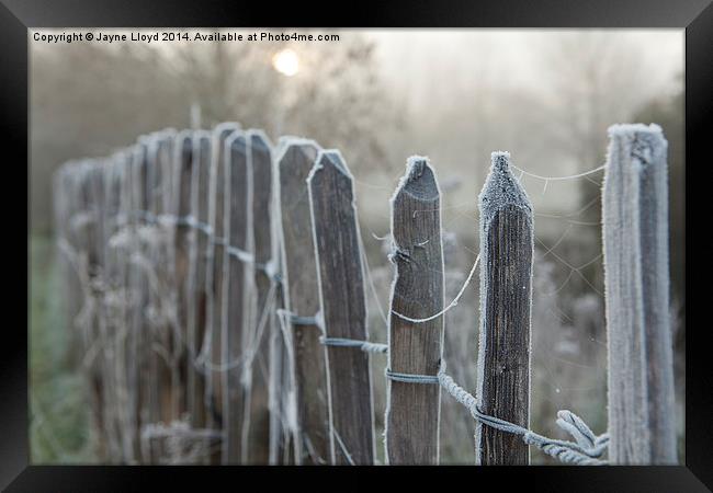 Frosty Fence Posts Framed Print by J Lloyd