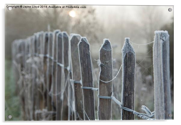 Frosty Fence Posts Acrylic by J Lloyd
