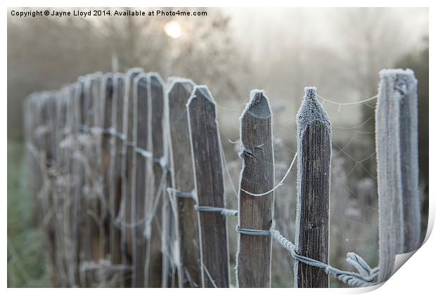 Frosty Fence Posts Print by J Lloyd