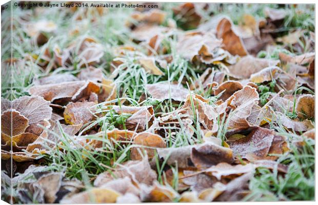Fallen frosty leaves Canvas Print by J Lloyd