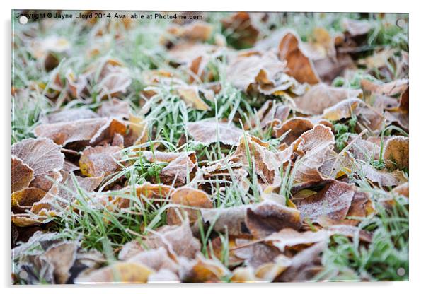 Fallen frosty leaves Acrylic by J Lloyd