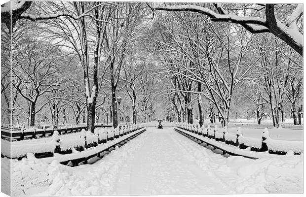 The Mall At Central Park During A Snowstorm Canvas Print by Susan Candelario