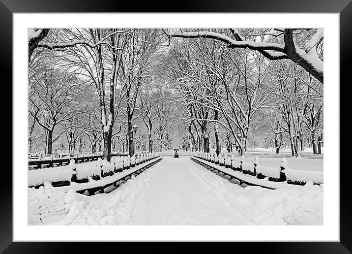 The Mall At Central Park During A Snowstorm Framed Mounted Print by Susan Candelario