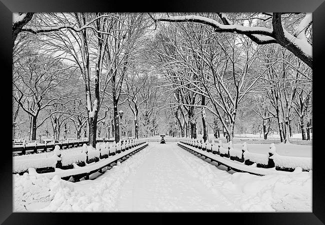 The Mall At Central Park During A Snowstorm Framed Print by Susan Candelario
