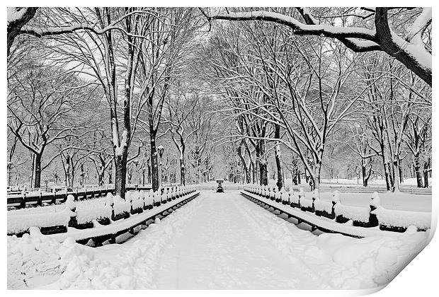 The Mall At Central Park During A Snowstorm Print by Susan Candelario