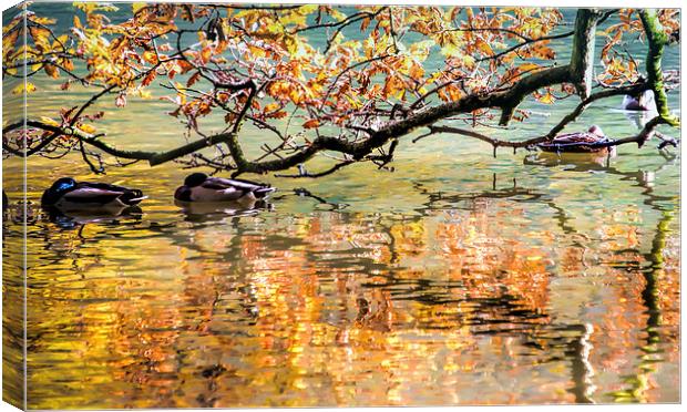 Autumn Reflections Canvas Print by Susan Sanger