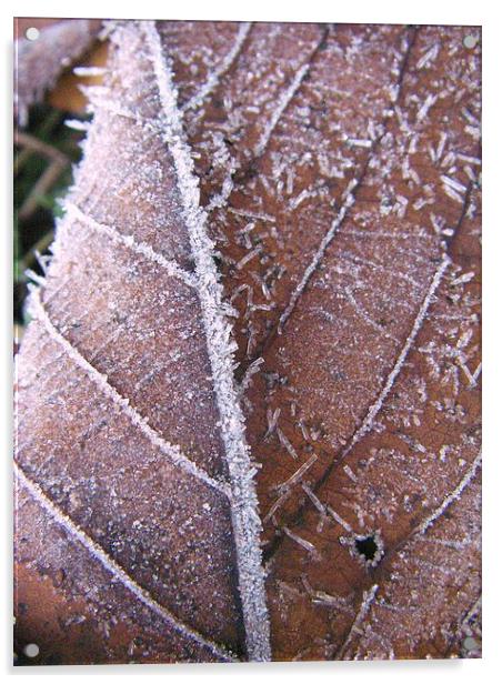 Frosted leaf Acrylic by Darrin miller