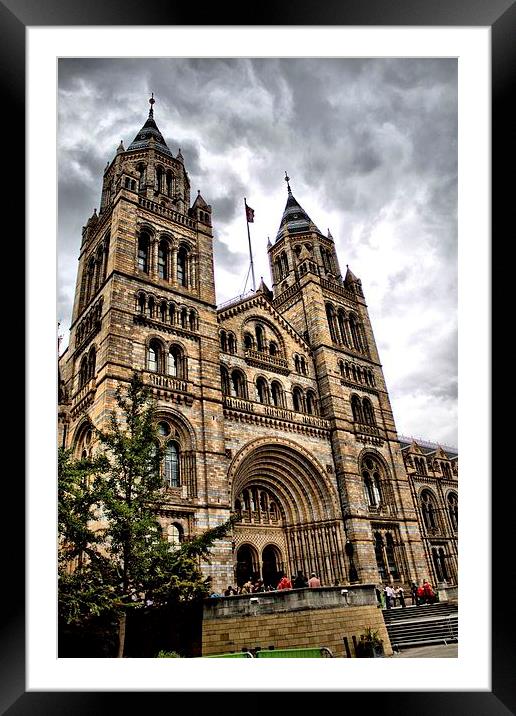 Natural History Museum Framed Mounted Print by Paul Austen