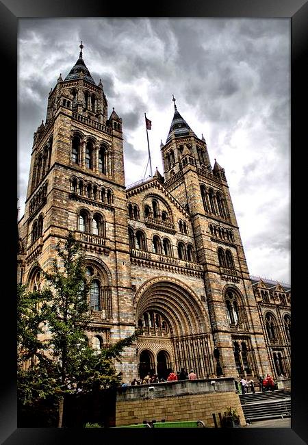 Natural History Museum Framed Print by Paul Austen