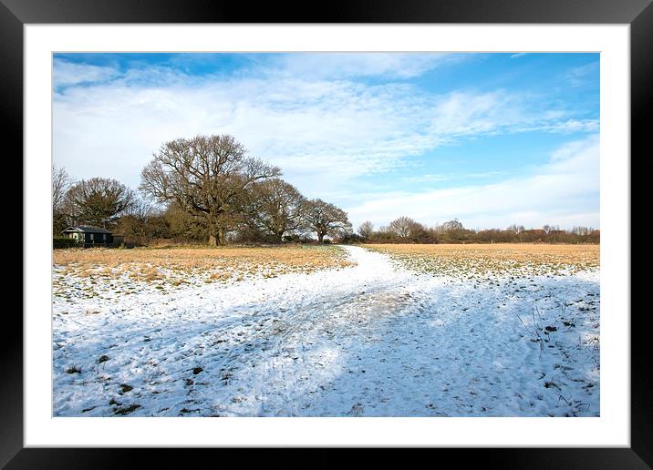 Snow covered field Framed Mounted Print by Susan Sanger