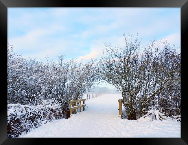 Archway snowed in field Framed Print by Susan Sanger