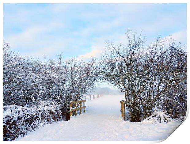 Archway snowed in field Print by Susan Sanger