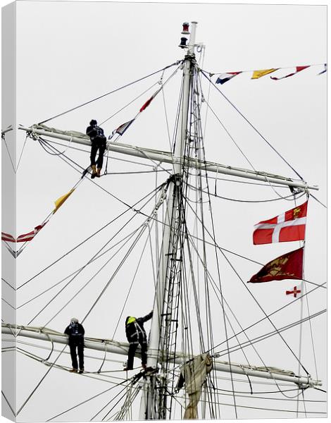 Photographers at Queens Diamond Jubilee Canvas Print by Susan Sanger