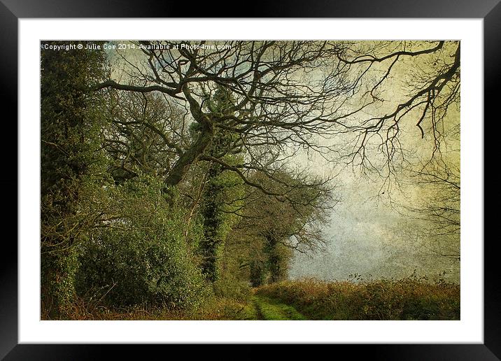 Walking In Hunny Framed Mounted Print by Julie Coe