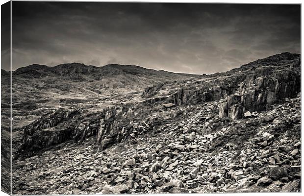 Moonscape Canvas Print by Sean Wareing