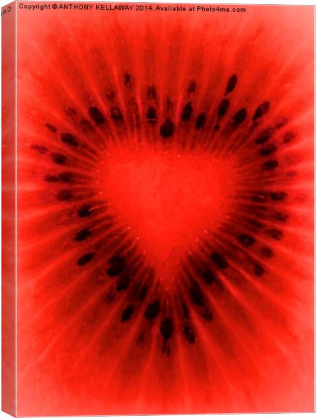 KIWI HEART Canvas Print by Anthony Kellaway