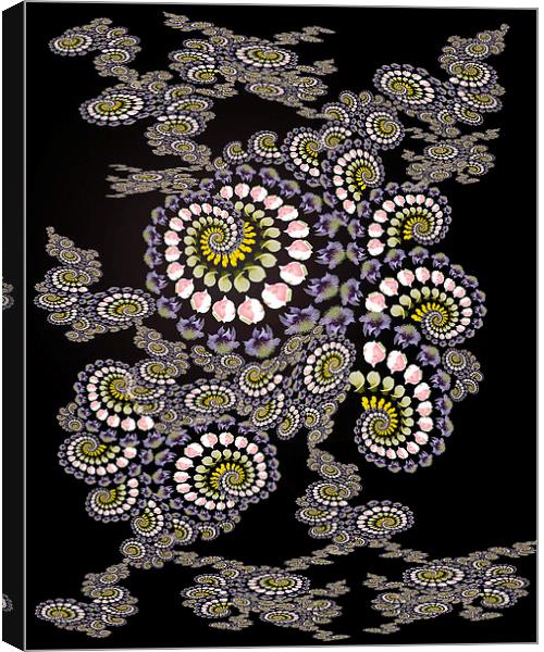 Fractal flower Canvas Print by Darrin miller