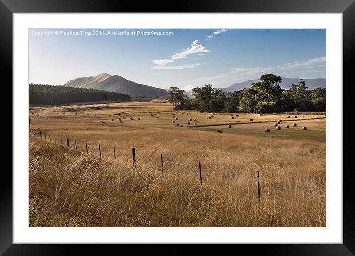 Golden Glow at Strath Creek 2 Framed Mounted Print by Pauline Tims