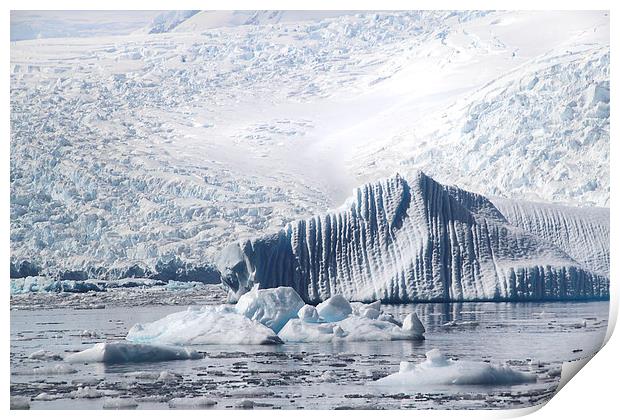 Cierva Cove Iceberg & Glaciers Print by Carole-Anne Fooks