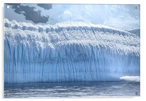 Wall of Ice Antarctica Acrylic by Carole-Anne Fooks