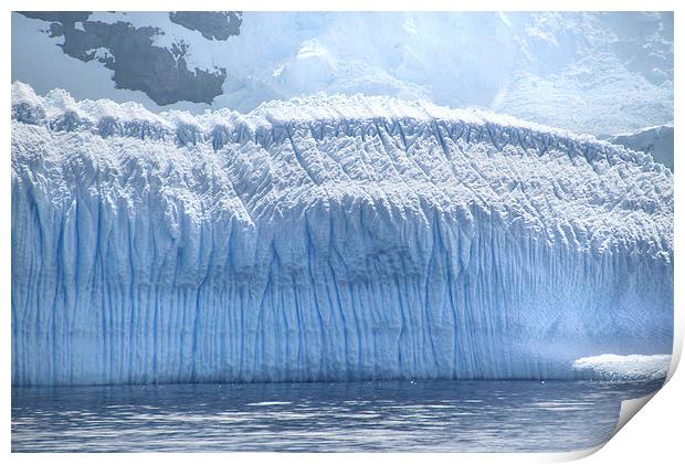 Wall of Ice Antarctica Print by Carole-Anne Fooks