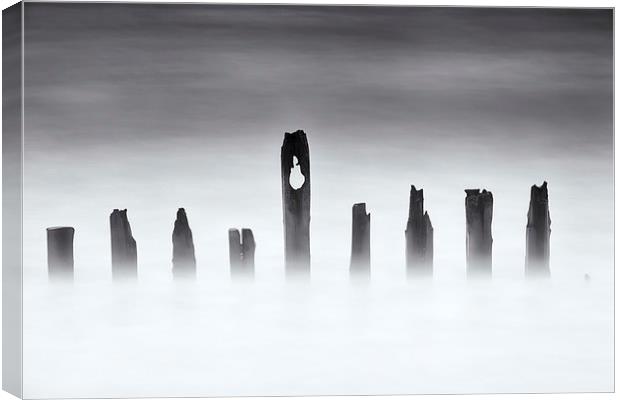 The Last Sentinels Canvas Print by Stuart Gennery