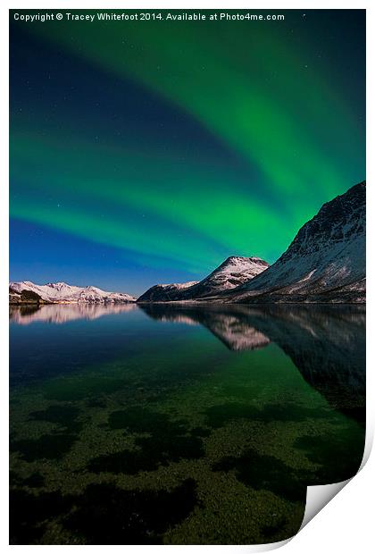 Aurora Reflections Print by Tracey Whitefoot