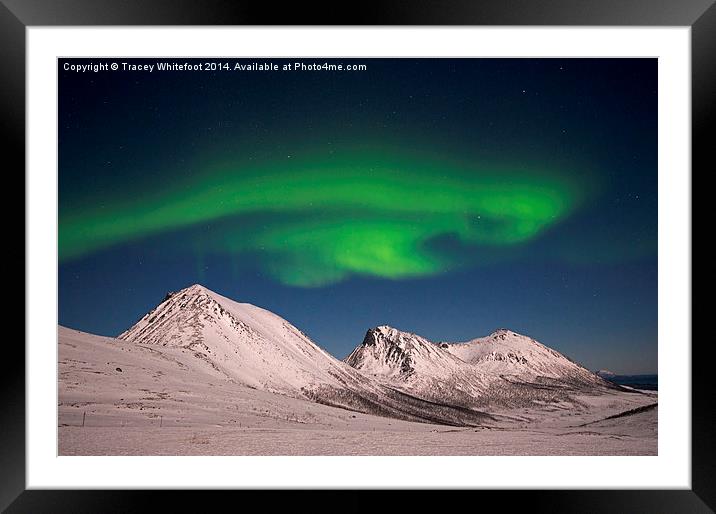 Aurora Beast Framed Mounted Print by Tracey Whitefoot