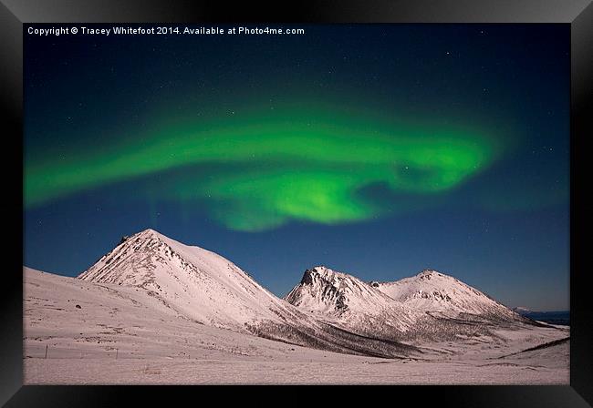 Aurora Beast Framed Print by Tracey Whitefoot