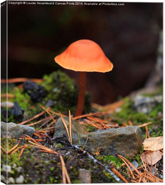Conical Wax Cap Canvas Print by Louise Heusinkveld