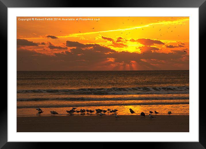 Sunrise at the Beach Framed Mounted Print by Robert Pettitt