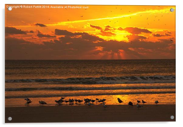Sunrise at the Beach Acrylic by Robert Pettitt