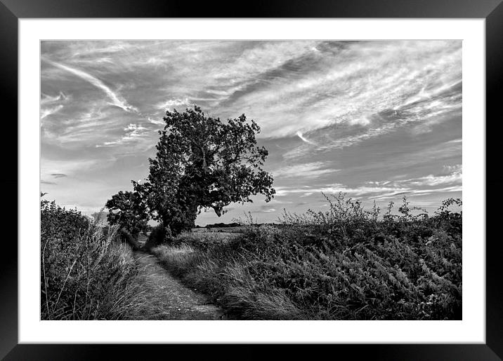 Country Lane in Mono Framed Mounted Print by Darren Galpin