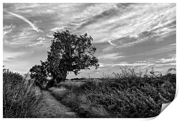 Country Lane in Mono Print by Darren Galpin