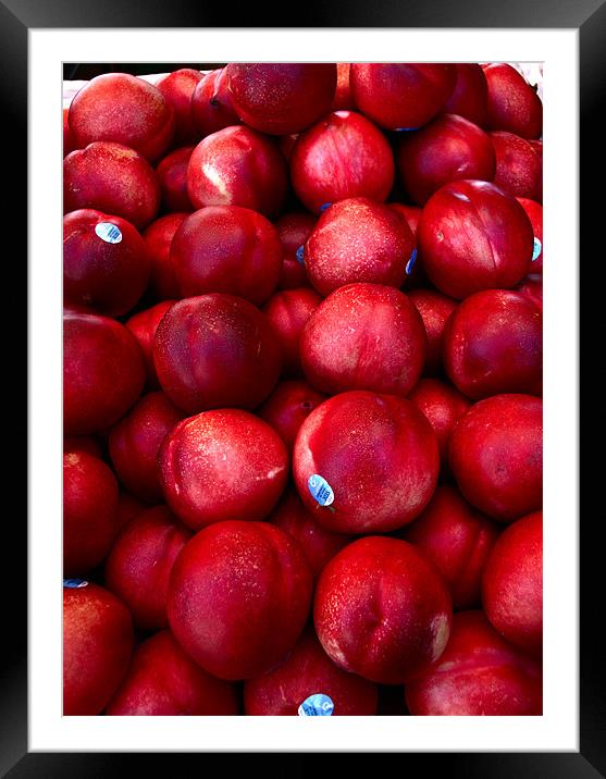 Ripe, Red Juicy Framed Mounted Print by Thomas Grob